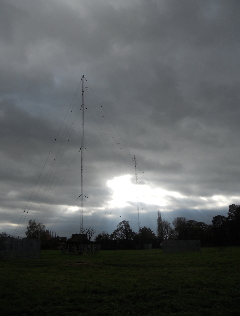 Twin antennas in Fulford, York
